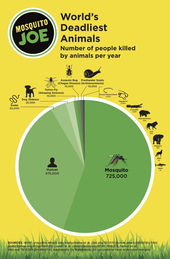 Mosquito Joe Worlds Deadliest Animals chart