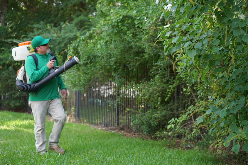 What is Mosquito Spraying?