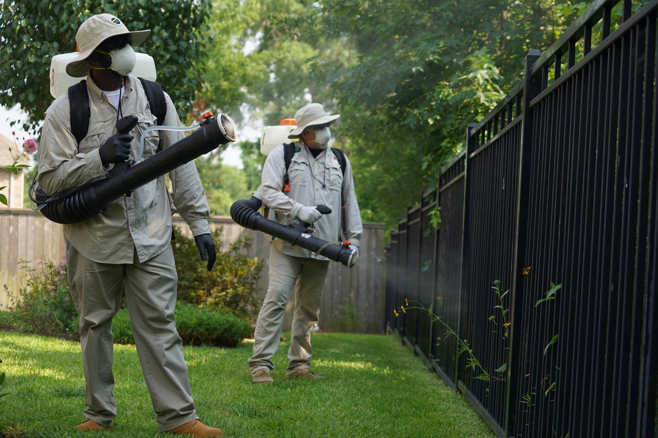 Our Mosquito Control Services.