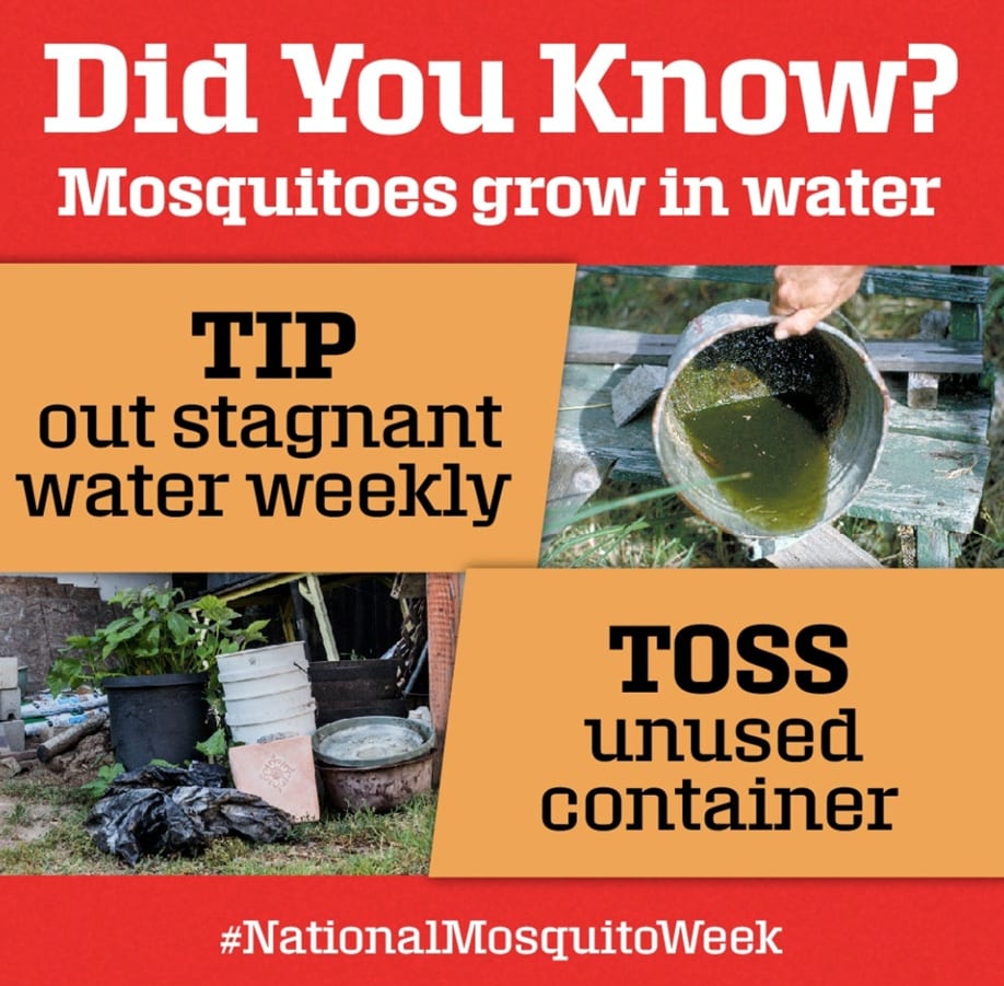 mosquito joe awareness week