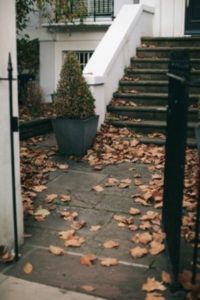 stairs with leaves