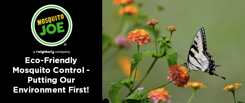 Eco-Friendly Mosquito Control – Putting Our Environment First!