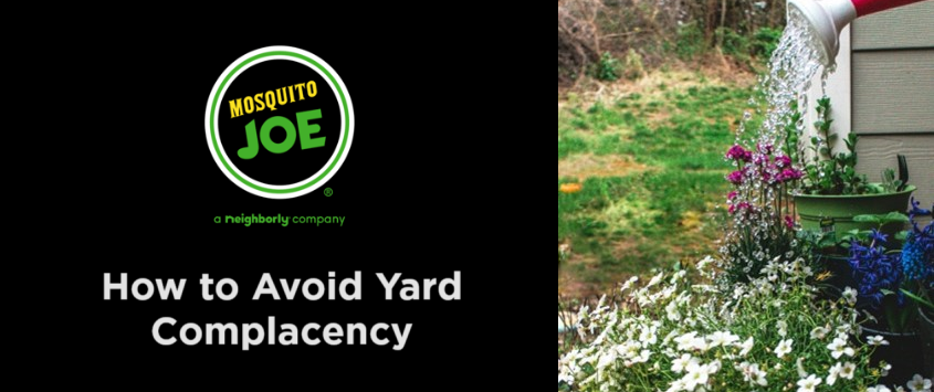 How to Avoid Yard Complacency