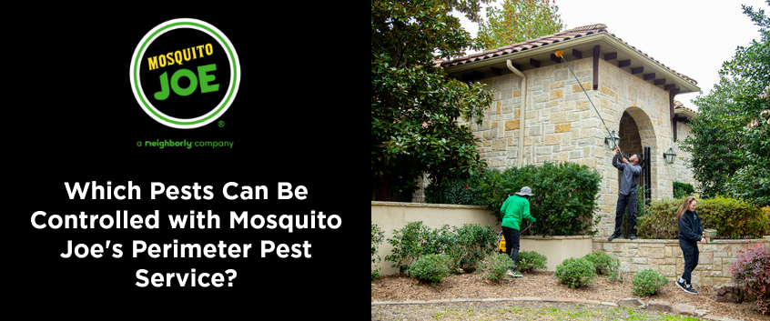 Which Pests Can Be Controlled with Mosquito Joe’s Perimeter Pest Service?